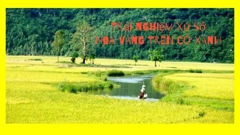 Mẹ đơn thân ở Vĩnh Yên và hành trình tìm lại chính mình cùng Hotspot Matrix_khóa học cơ bản về digital marketing